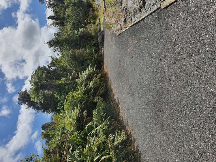 5 Middleton Place Franz Josef Glacier_14