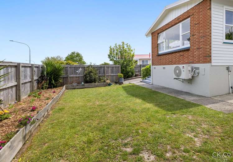 13 Kahikatea Lane Brown Owl_21