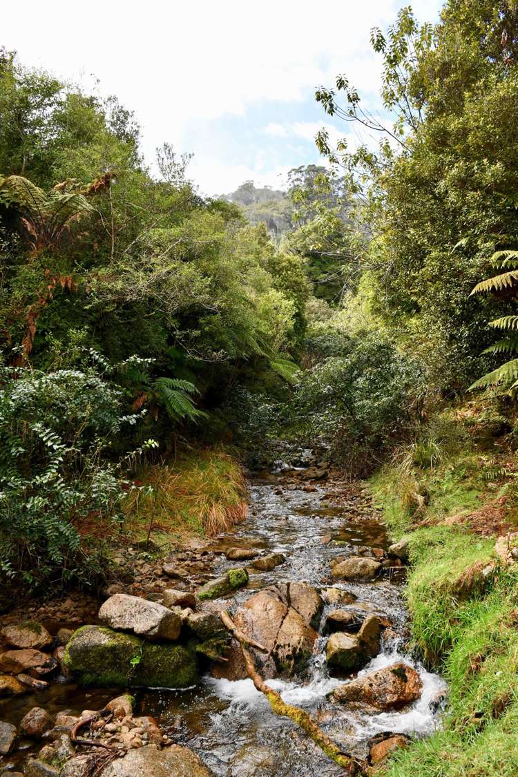 904 Karamea Kohaihai Road Karamea_28