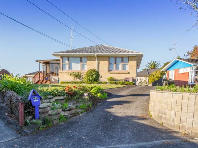 221 Ohaupo Road Glenview_4