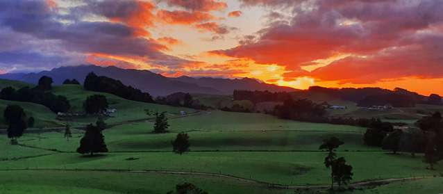 25 Mapuna Road Dargaville Surrounds_1