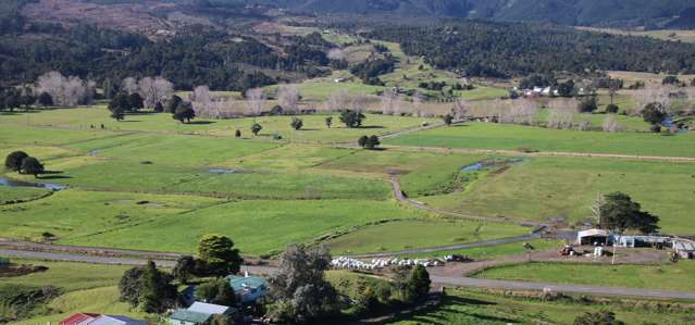 2579 State Highway 12 Dargaville Surrounds_1