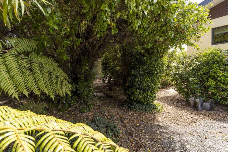 44 Rene Street Springlands_33