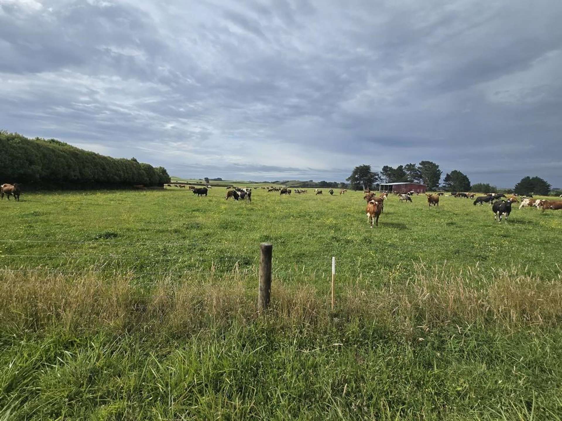 Graves Street Eltham_0