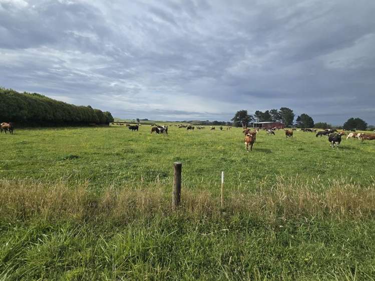 Graves Street Eltham_0