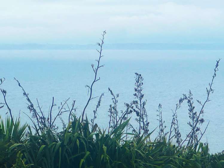 7 Askew Avenue Rakino Island_8