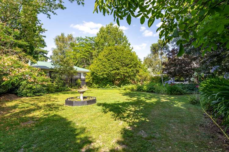 9 Mole Street Greytown_6