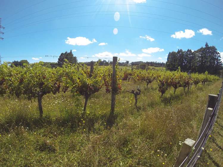 74 Guy Road Kaikohe_3