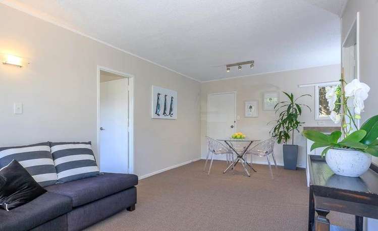 11/8 Shackleton Road Mount Eden_5