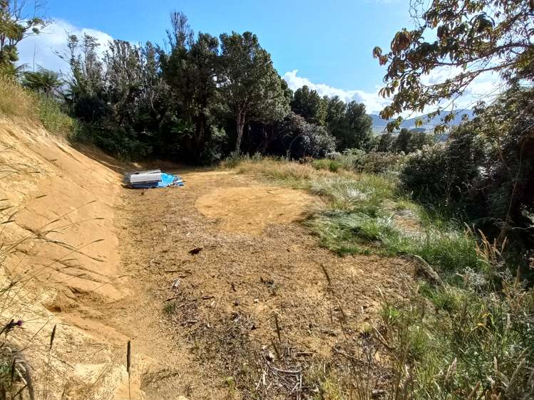 Harrington Mill Road Catlins Surrounds_7