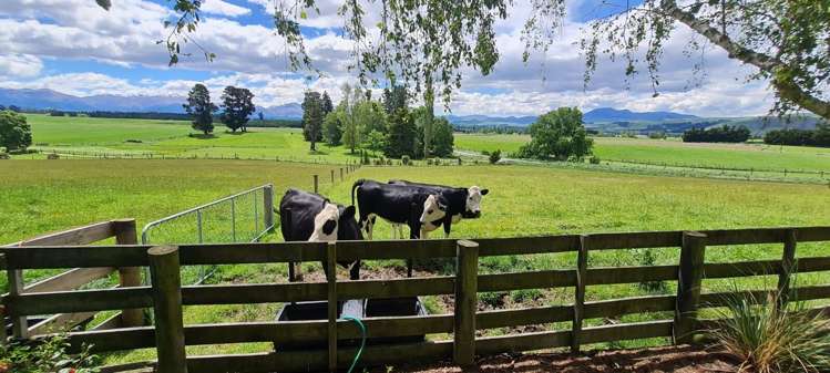 14 O'Neills Road Fairlie_20