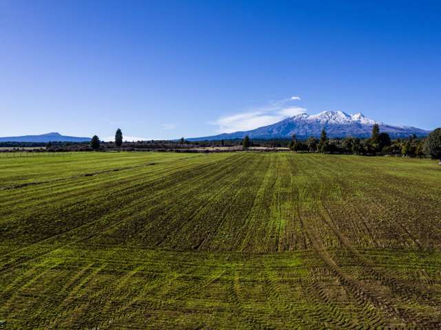 Matapuna Road, Ruapehu Alpine Estate, Horopito Ohakune_1