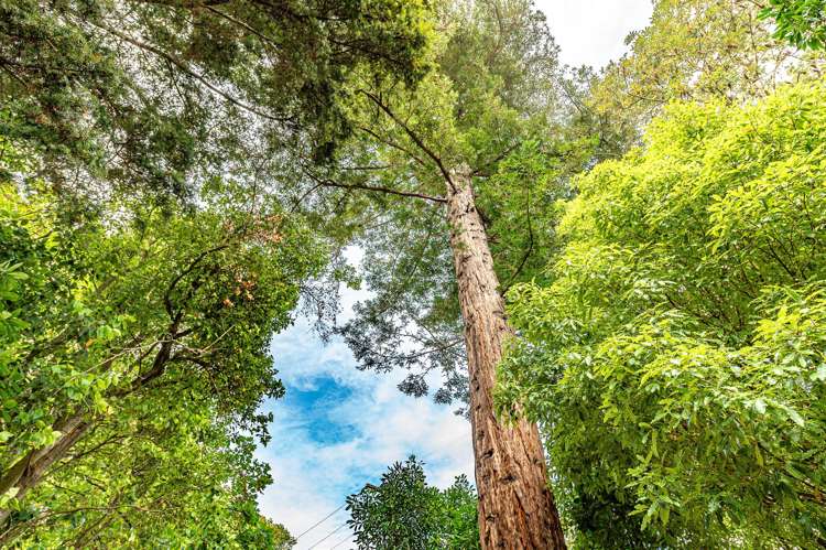 5 Nile Street Whanganui East_33