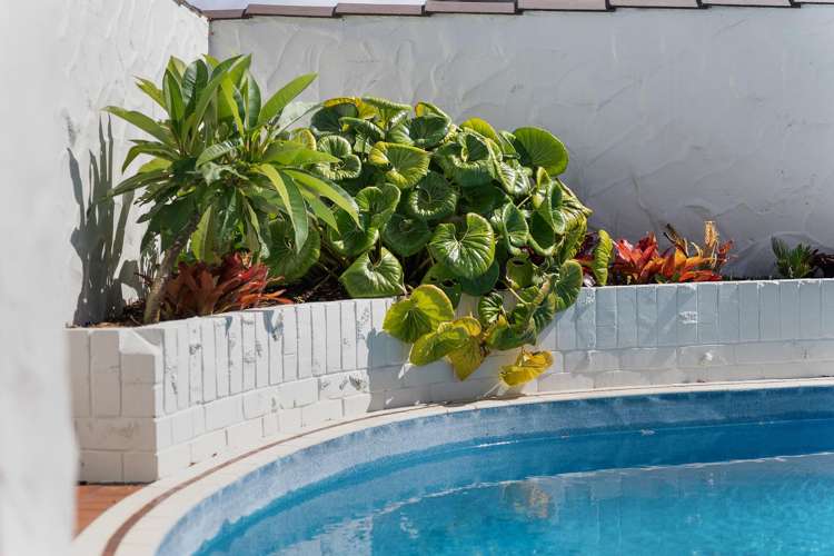 20A Taonui Street Rosehill_14