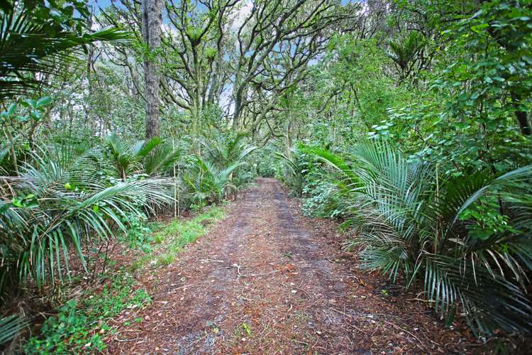 2409 Awhitu Road Awhitu_10