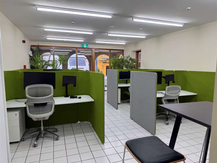 15 Edward Street Te Aro_5