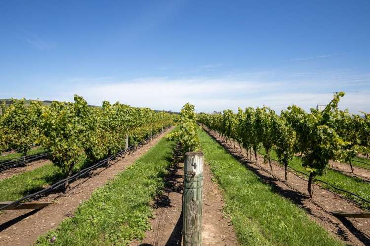 460 Glasnevin Road Amberley_6