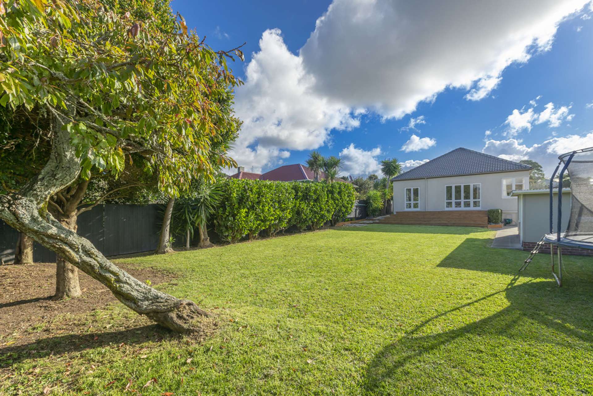 66 Kiwitea Street Sandringham_0