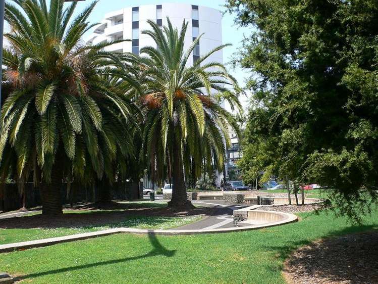 30 Cotesmore Way Parnell_9