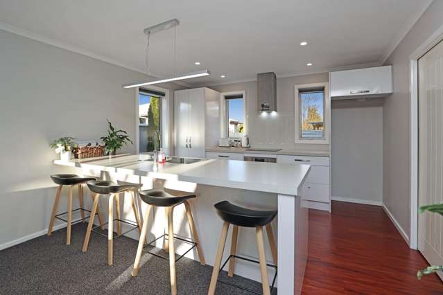 25A Allison Street Allenton_1