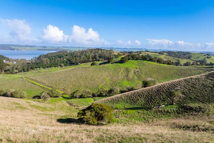 Massey Road Maungaturoto_13