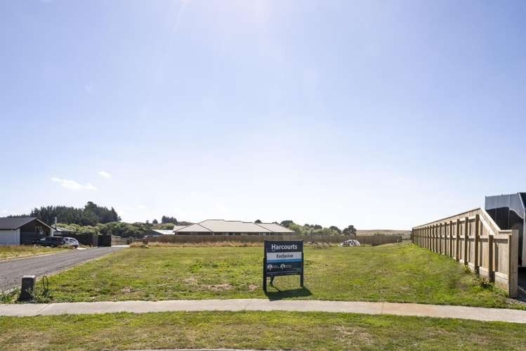 36 George Street Bulls_2