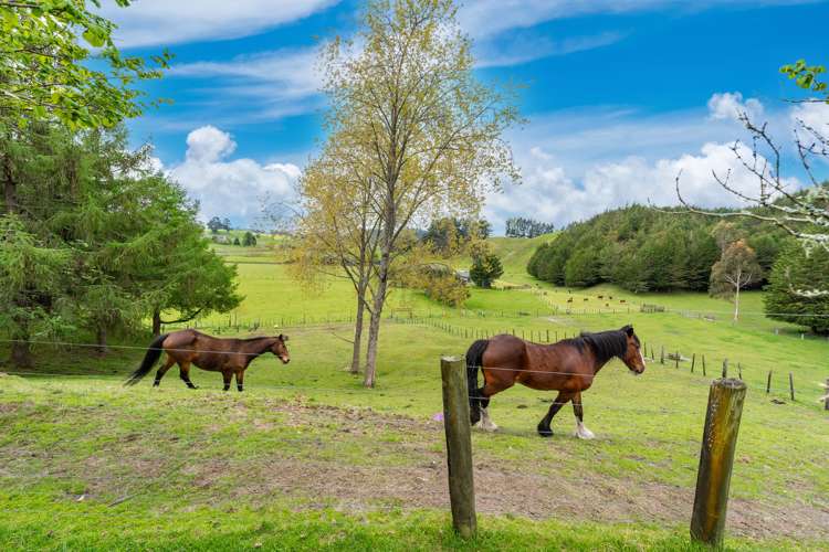 738 Oruanui Road Oruanui_17