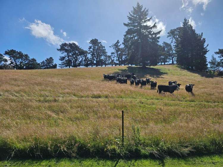 797 Lake Sumner Road Masons Flat_23