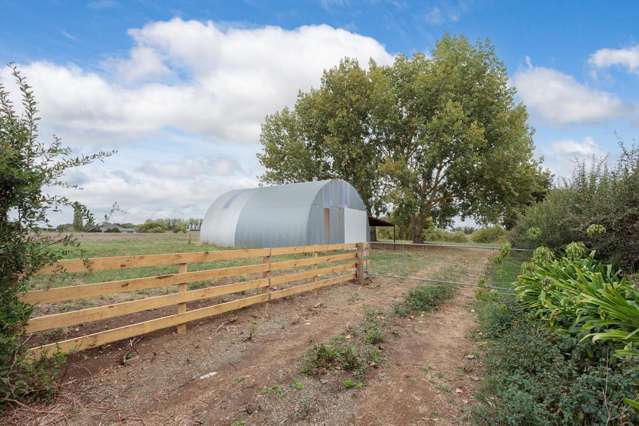 - Tainui Road Morrinsville_3
