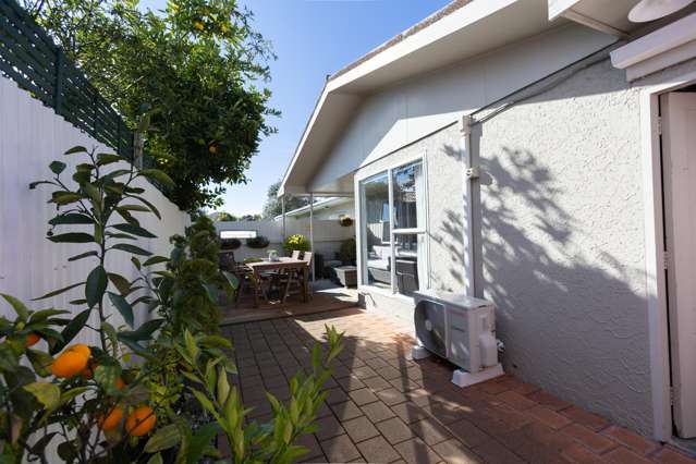 21A Vigor Brown Street Napier South_4