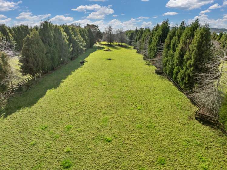 521 State Highway 1 Kauri_5