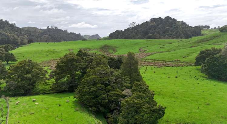 325 Haruru Road Kaukapakapa_5