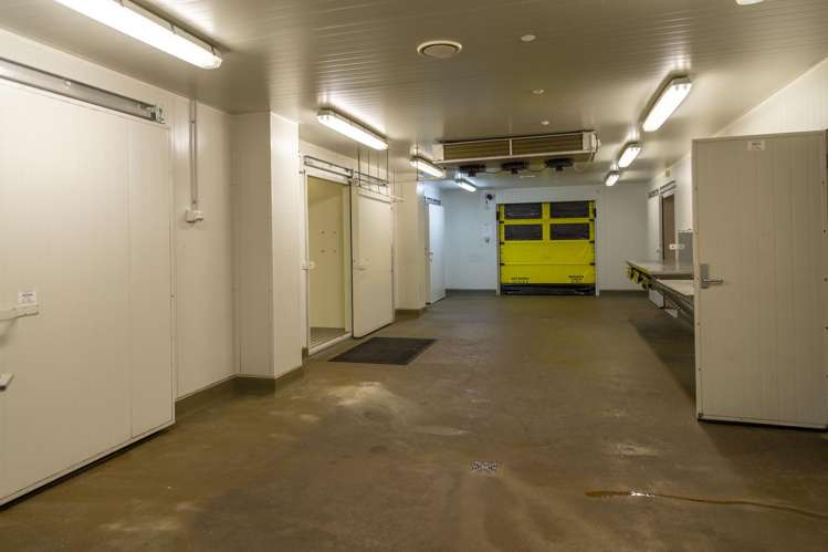 Ground Floor, 17 Mahia Street Ahuriri_7