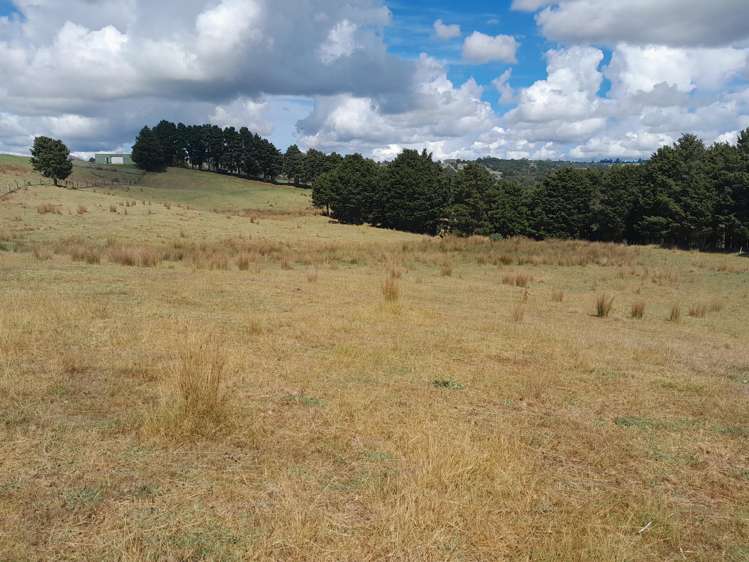 596 Waimate North Road Kerikeri_2