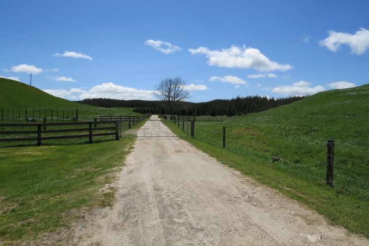 17 Hingarae Road Tihoi_18