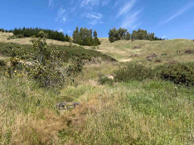 38 Valley Road Greta Valley_23