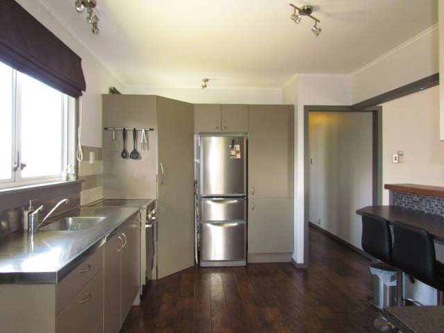 8a Grey Street Levin_1