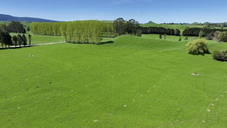 441 State Highway 38 Rerewhakaaitu_8