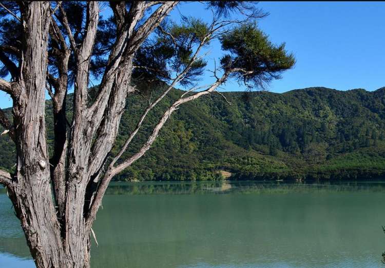 Lot Lot 2 Kenepuru Head Kenepuru Sound_6