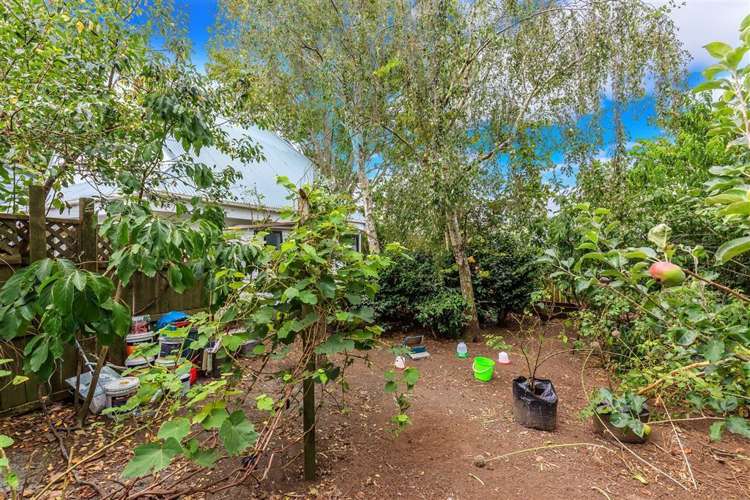 38 Jefferson Street Glendowie_7