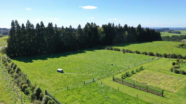 1961 Te Matai Road Te Puke_22