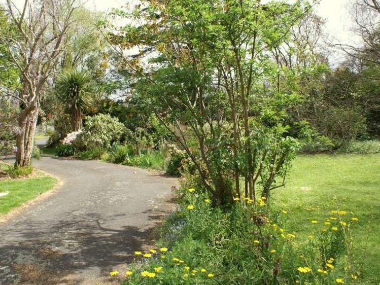 27 West Street Greytown_5