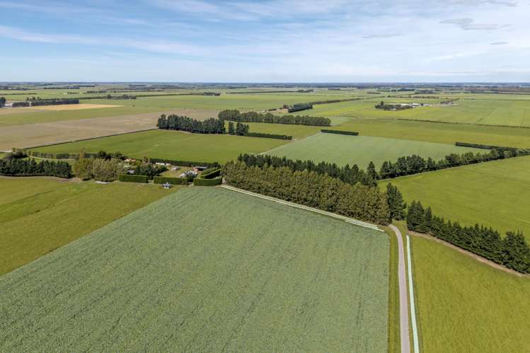 904 Dip Road Methven_10