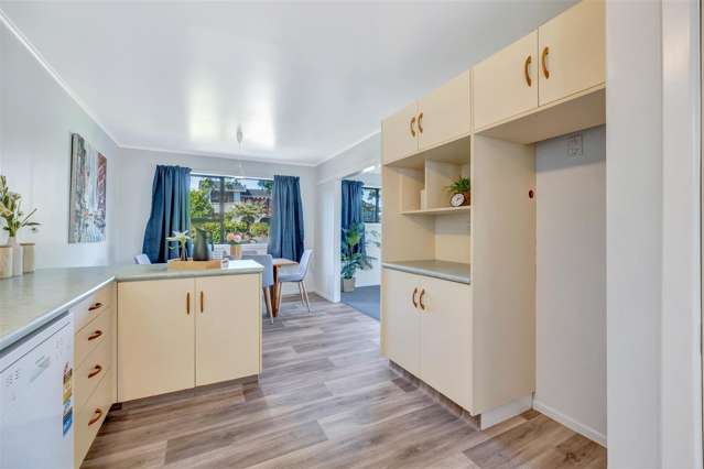 33 Challinor Street Pukete_4