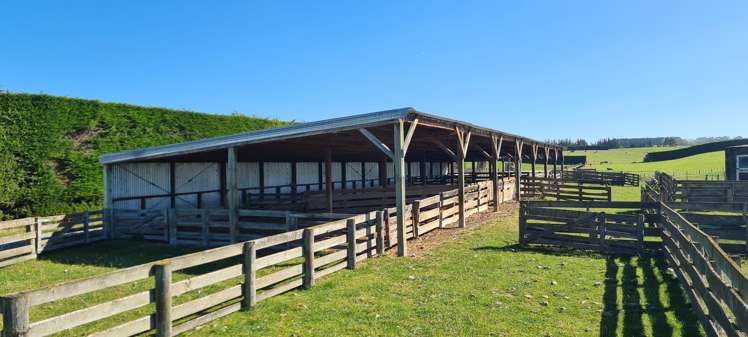 357 Middle Road Gore Surrounds_6