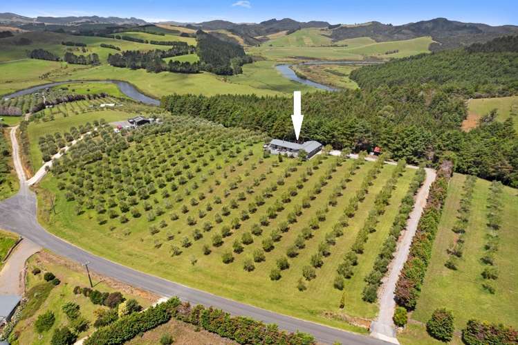 72 Leccino Valley Road Mangonui_1