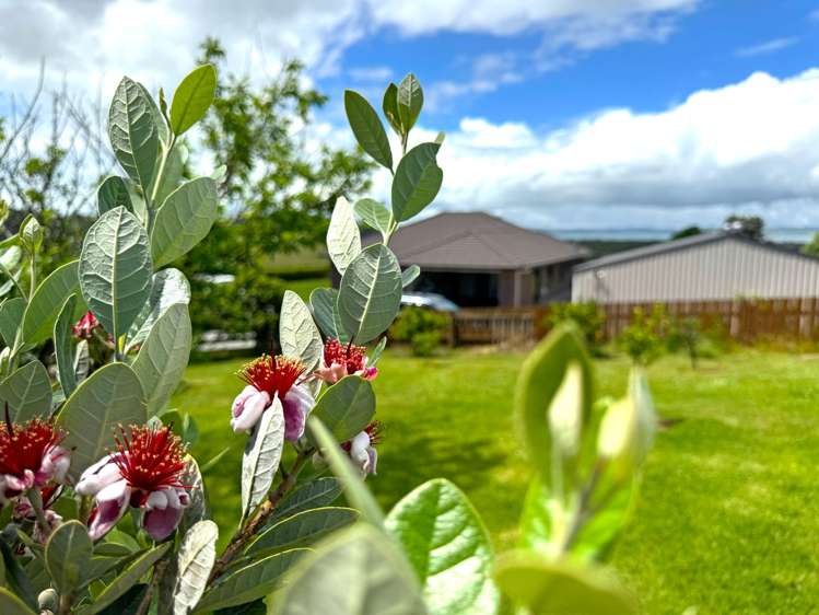 38D Kaipara Lake Road Helensville_11