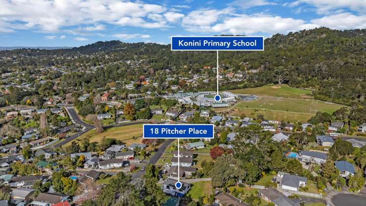 18 Pitcher Place Glen Eden_29