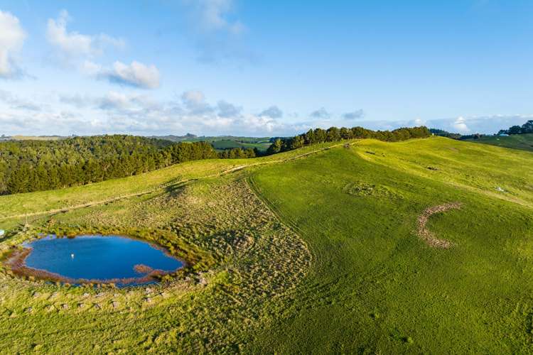 85 Lusk Road Ruawai_15