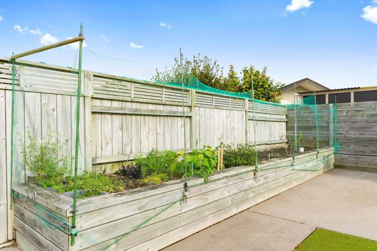 18 Kowi Lakes Drive One Tree Point_19